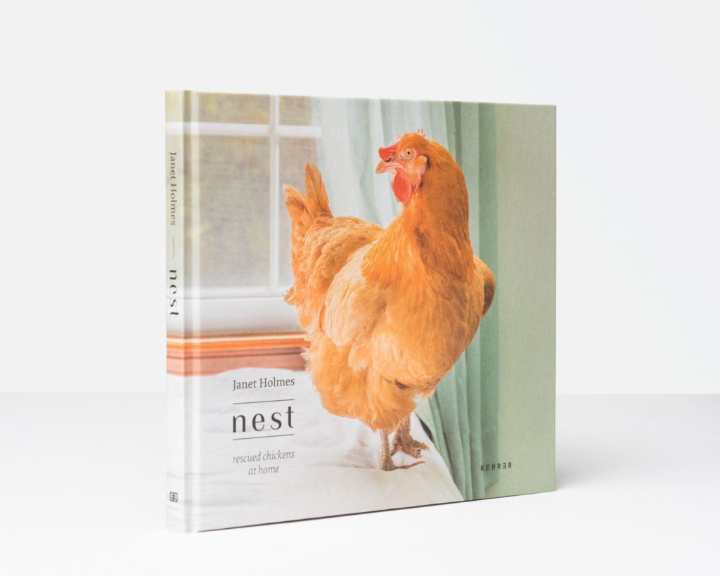 The cover image for the book "Nest" but Janet Holmes.