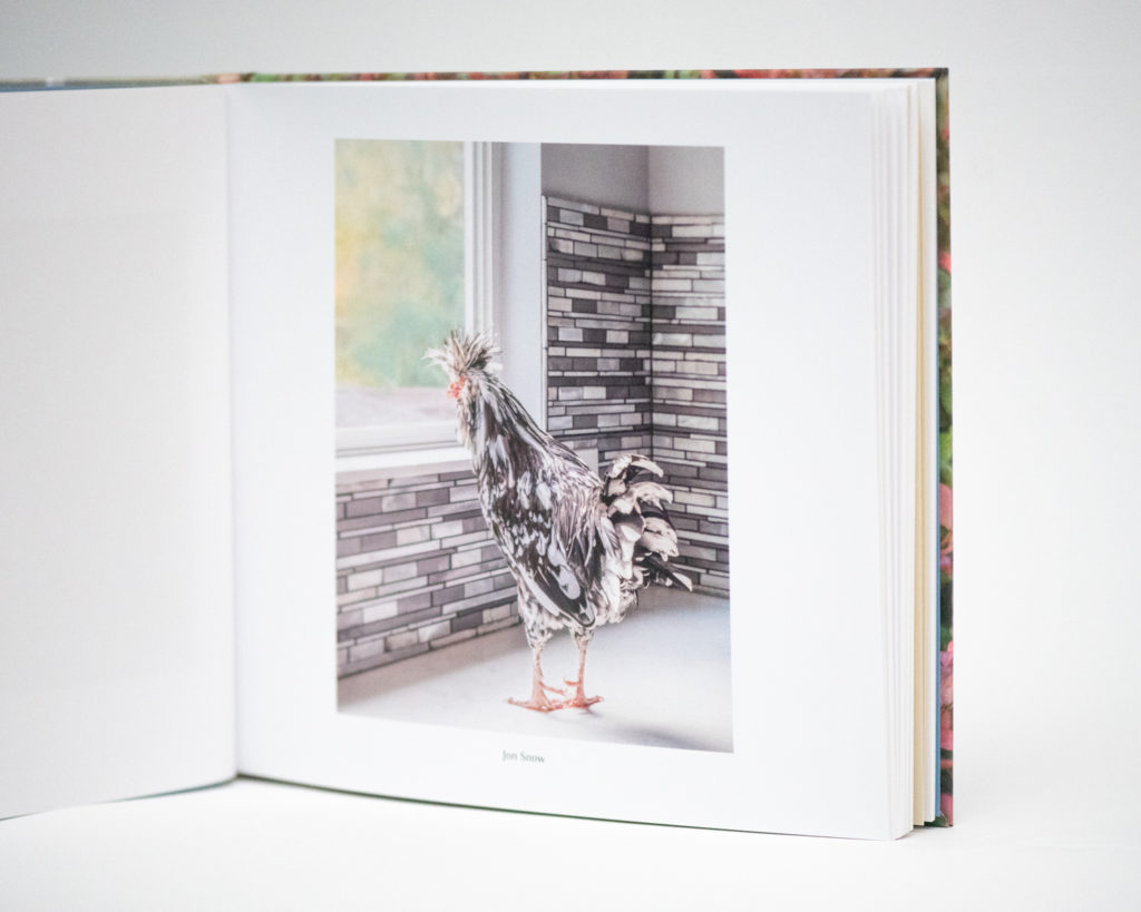 This image shows a page in the book Nest. It's a chicken who beautifully matches the black and white kitchen tiles.